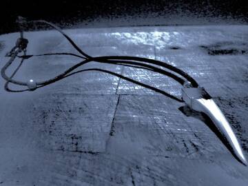 Public Photo of L-OraPiuLunga